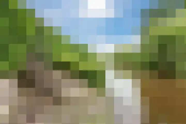 Bosmansweg 6 Nieuwleusen thumbnail 66
