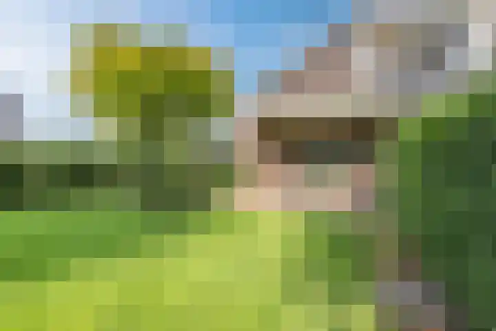 Bosmansweg 6 Nieuwleusen thumbnail 67