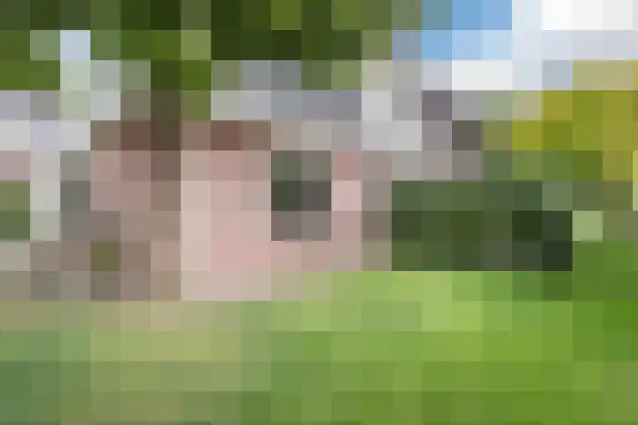 Bosmansweg 6 Nieuwleusen thumbnail 68