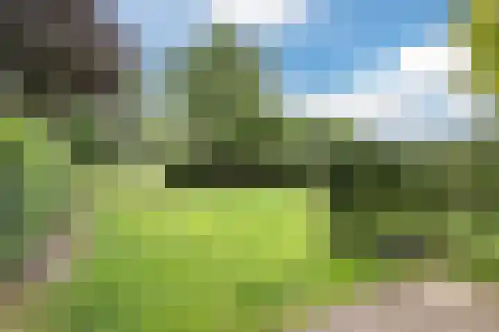Bosmansweg 6 Nieuwleusen thumbnail 69