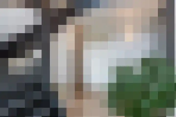 Bosmansweg 6 Nieuwleusen thumbnail 7