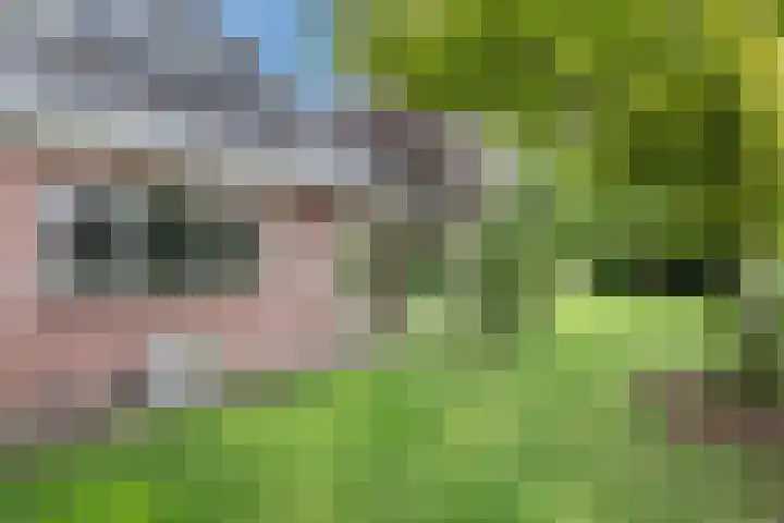 Bosmansweg 6 Nieuwleusen thumbnail 70