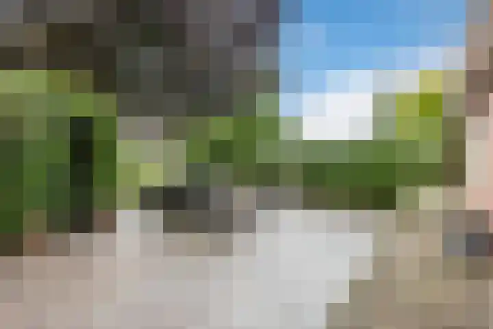 Bosmansweg 6 Nieuwleusen thumbnail 71