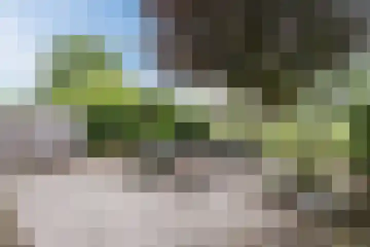 Bosmansweg 6 Nieuwleusen thumbnail 72