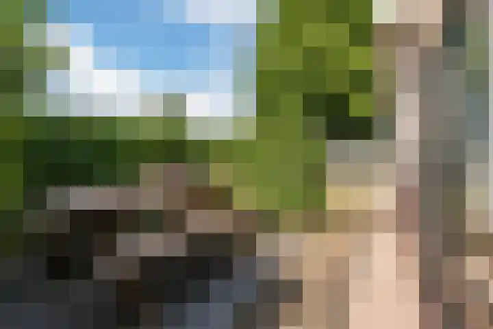 Bosmansweg 6 Nieuwleusen thumbnail 73