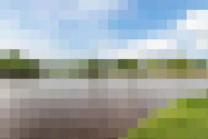 Bosmansweg 6 Nieuwleusen thumbnail 74