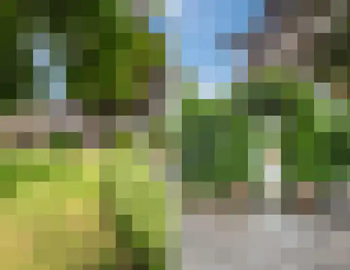 Bosmansweg 6 Nieuwleusen thumbnail 75