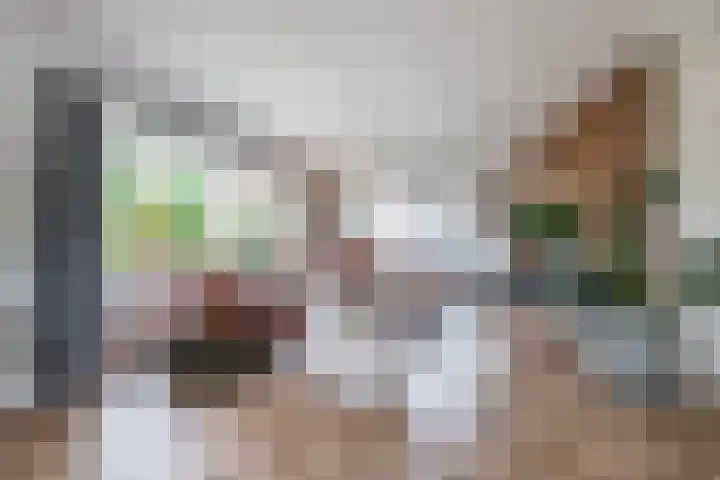Bosmansweg 6 Nieuwleusen thumbnail 8