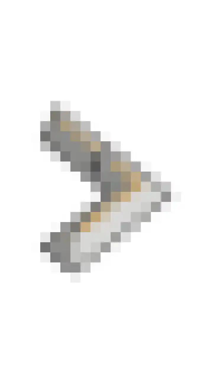 Bosmansweg 6 Nieuwleusen thumbnail 83