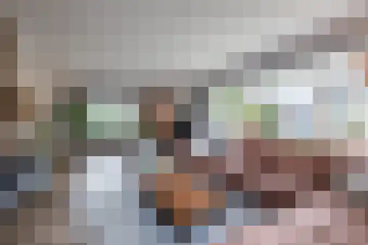 Bosmansweg 6 Nieuwleusen thumbnail 9