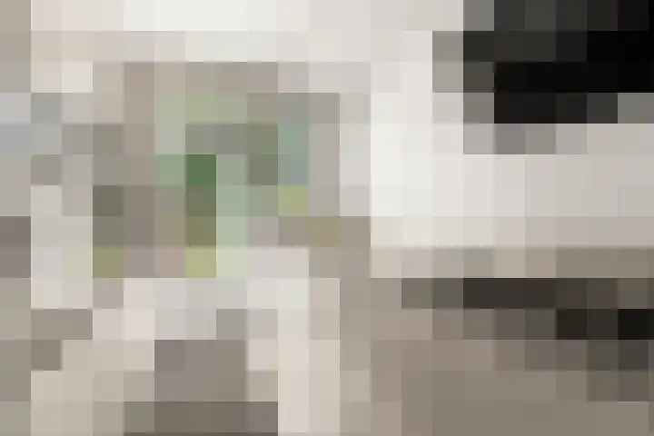 Bosmarklaan 9 Laag-Soeren thumbnail 11