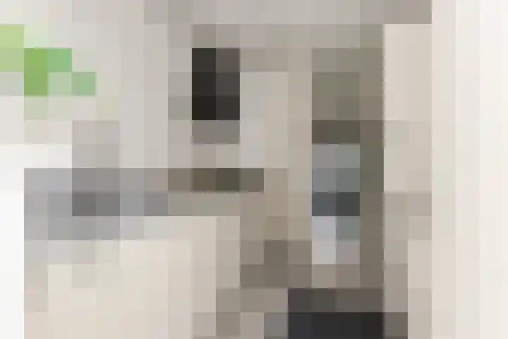 Bosmarklaan 9 Laag-Soeren thumbnail 12