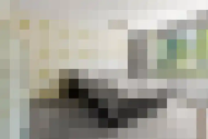 Bosmarklaan 9 Laag-Soeren thumbnail 14