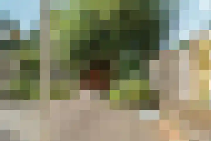 Bosmarklaan 9 Laag-Soeren thumbnail 26