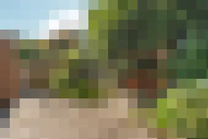 Bosmarklaan 9 Laag-Soeren thumbnail 27