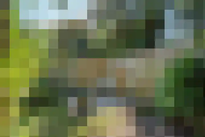 Bosmarklaan 9 Laag-Soeren thumbnail 30
