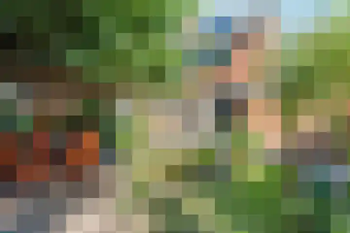 Bosmarklaan 9 Laag-Soeren thumbnail 5