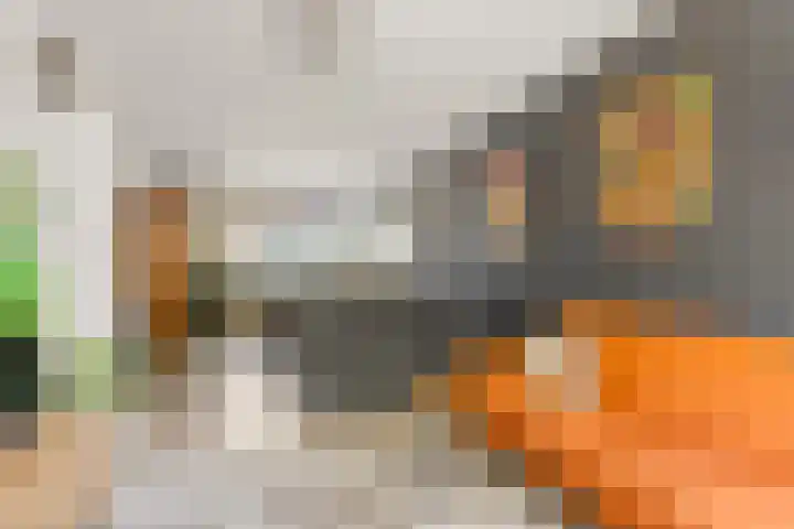 Bosmarklaan 9 Laag-Soeren thumbnail 8