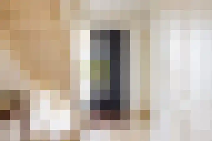 Bosmastrjitte 7 Balk thumbnail 13