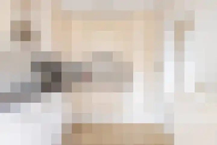 Bosmastrjitte 7 Balk thumbnail 23