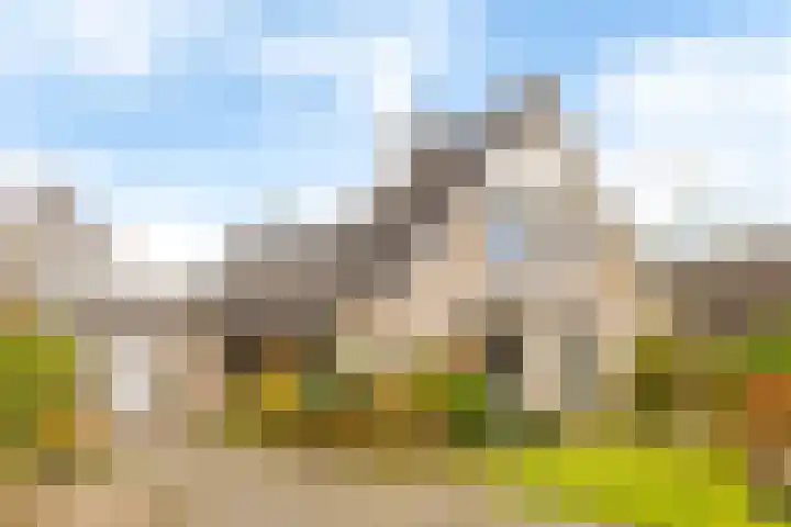 Bosmastrjitte 7 Balk foto 3