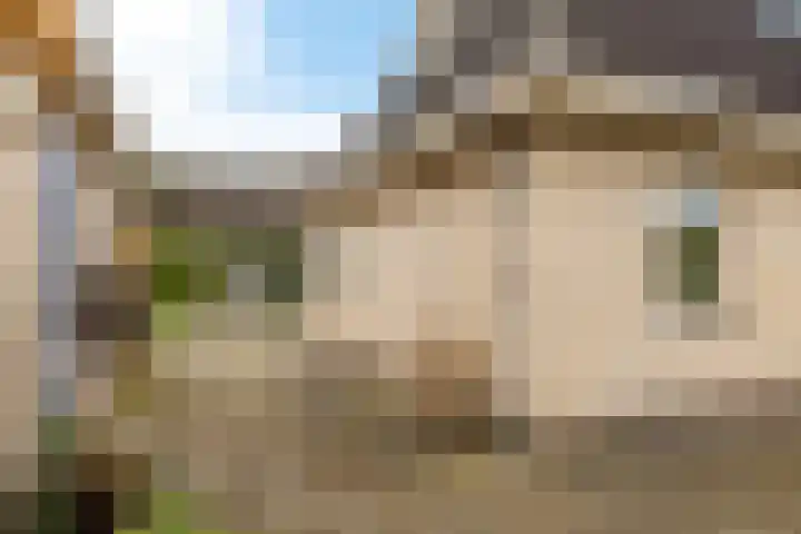 Bosmastrjitte 7 Balk thumbnail 31
