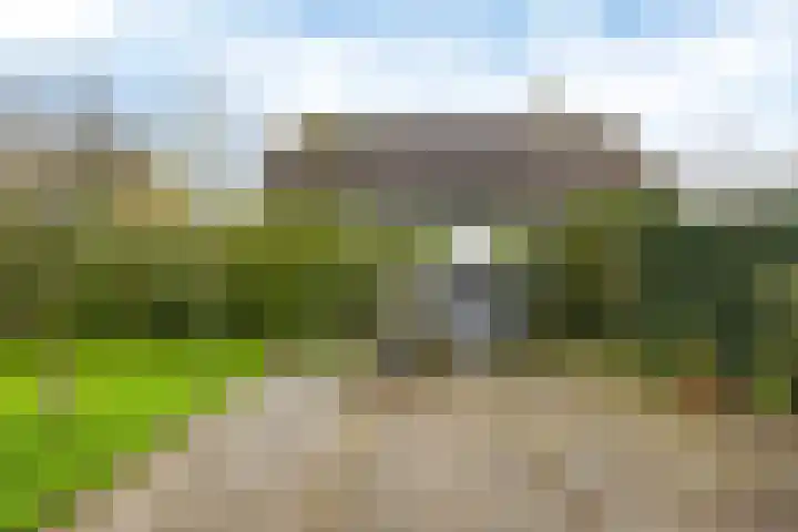 Bosmastrjitte 7 Balk thumbnail 32