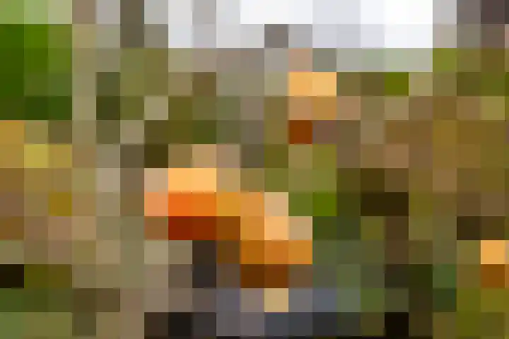 Bosmastrjitte 7 Balk thumbnail 42