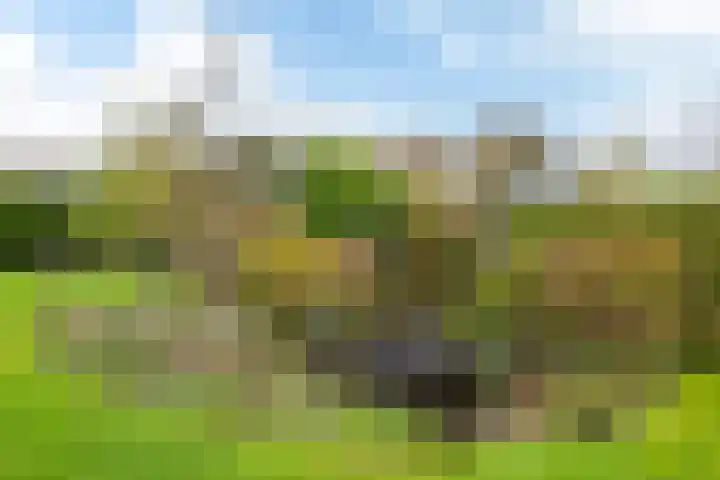 Bosmastrjitte 7 Balk thumbnail 43