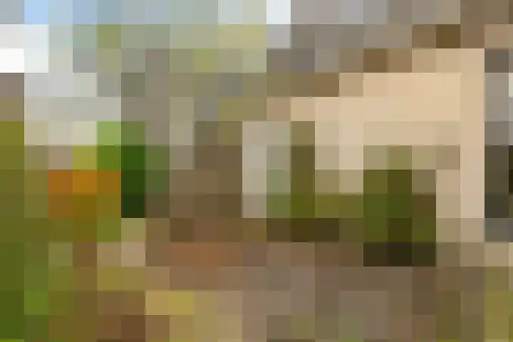 Bosmastrjitte 7 Balk thumbnail 44