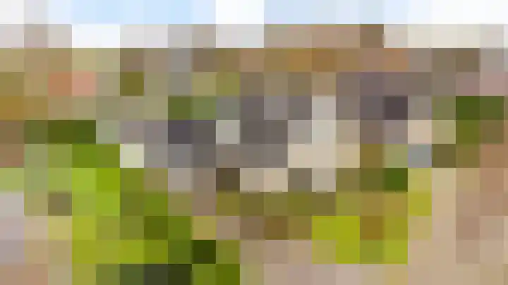 Bosmastrjitte 7 Balk thumbnail 62
