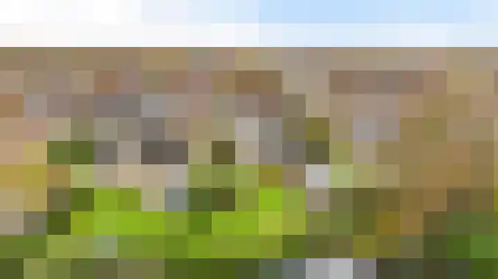 Bosmastrjitte 7 Balk thumbnail 63