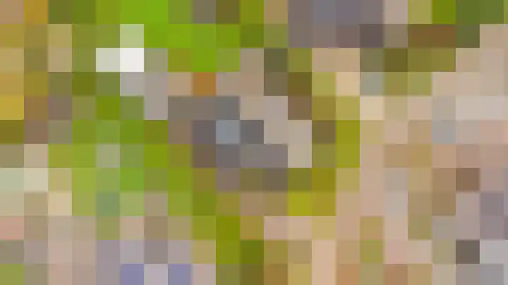 Bosmastrjitte 7 Balk thumbnail 64