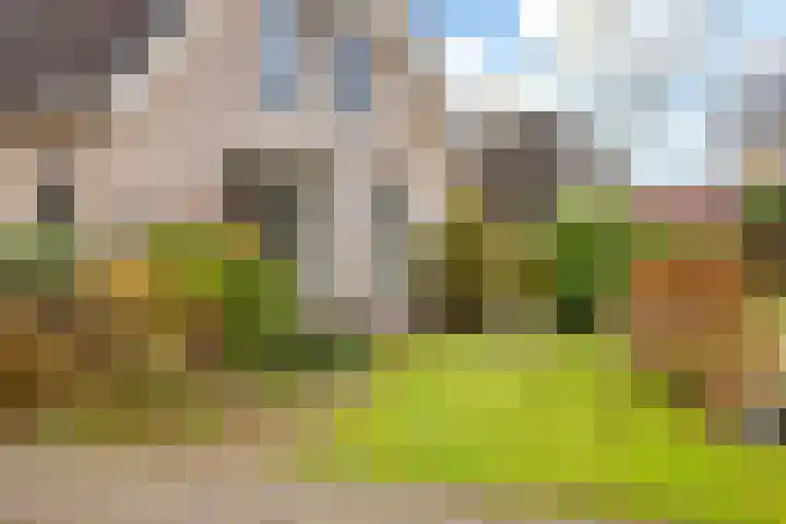 Bosmastrjitte 7 Balk thumbnail 8