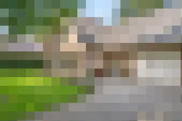 Bosmeesterskamp 3 A Bennekom thumbnail 10