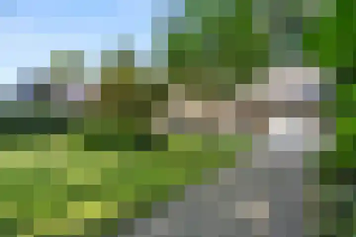 Bosmeesterskamp 3 A Bennekom thumbnail 11
