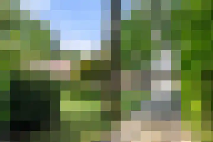 Bosmeesterskamp 3 A Bennekom thumbnail 12