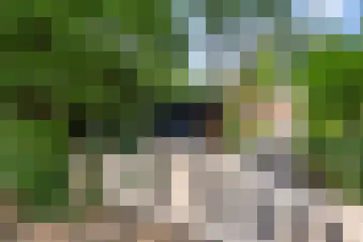 Bosmeesterskamp 3 A Bennekom thumbnail 13
