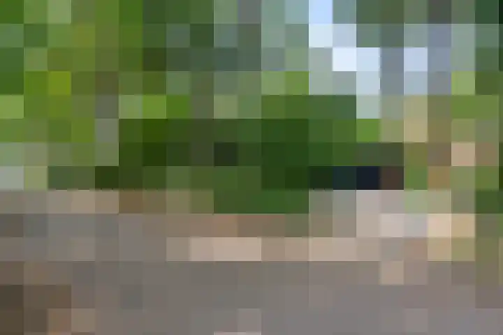 Bosmeesterskamp 3 A Bennekom thumbnail 14