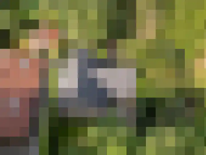 Bosmeesterskamp 3 A Bennekom thumbnail 16
