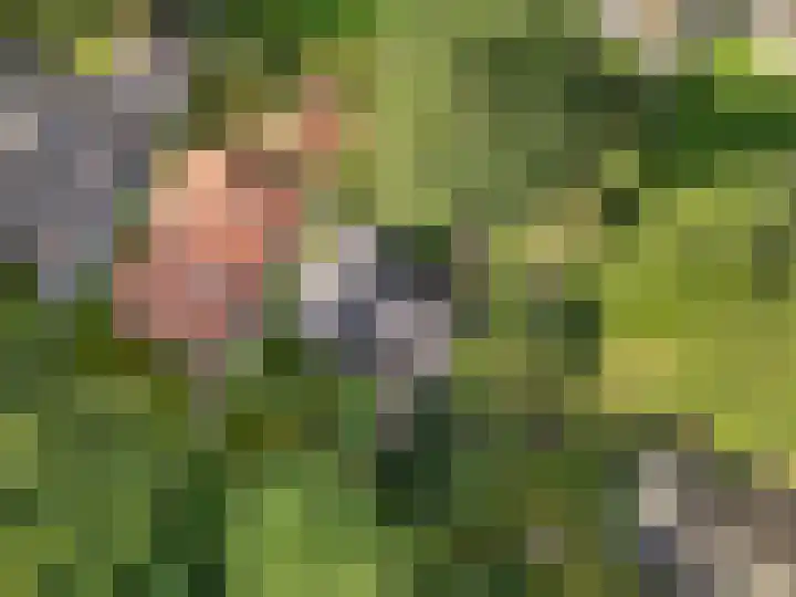 Bosmeesterskamp 3 A Bennekom thumbnail 17