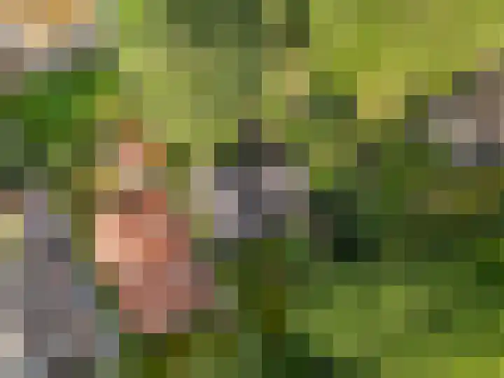 Bosmeesterskamp 3 A Bennekom thumbnail 18
