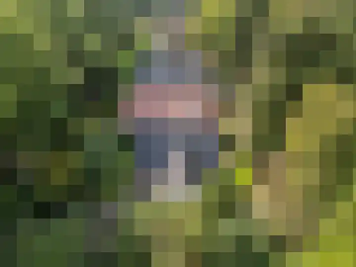 Bosmeesterskamp 3 A Bennekom thumbnail 19