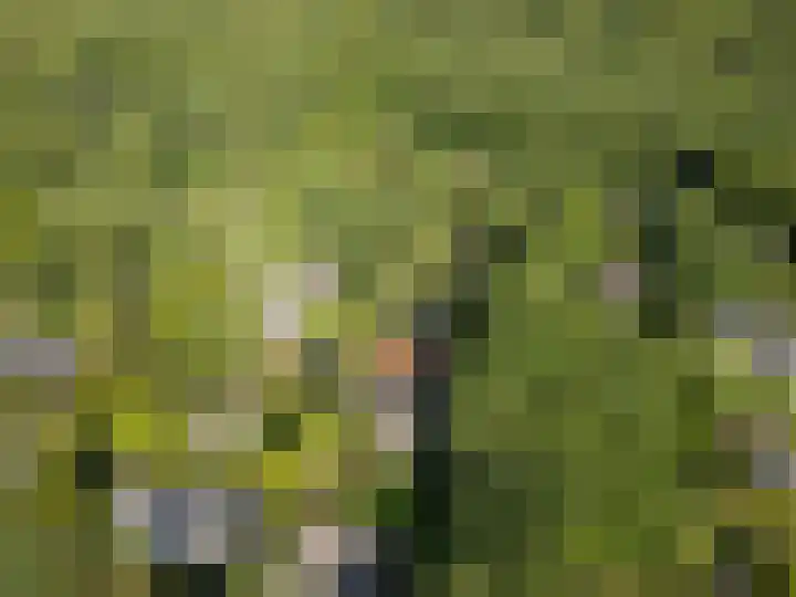 Bosmeesterskamp 3 A Bennekom thumbnail 21