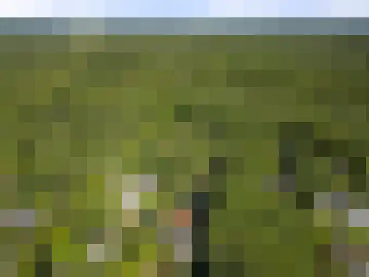 Bosmeesterskamp 3 A Bennekom thumbnail 22