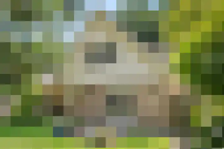 Bosmeesterskamp 3 A Bennekom thumbnail 24