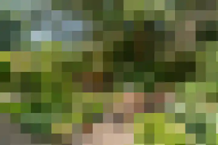 Bosmeesterskamp 3 A Bennekom thumbnail 25