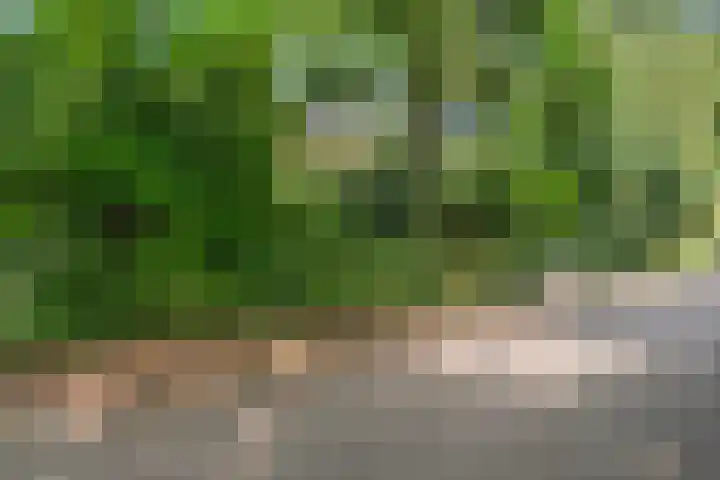 Bosmeesterskamp 3 A Bennekom thumbnail 28