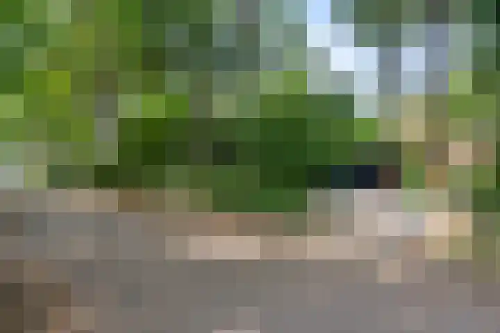 Bosmeesterskamp 3 A Bennekom thumbnail 4