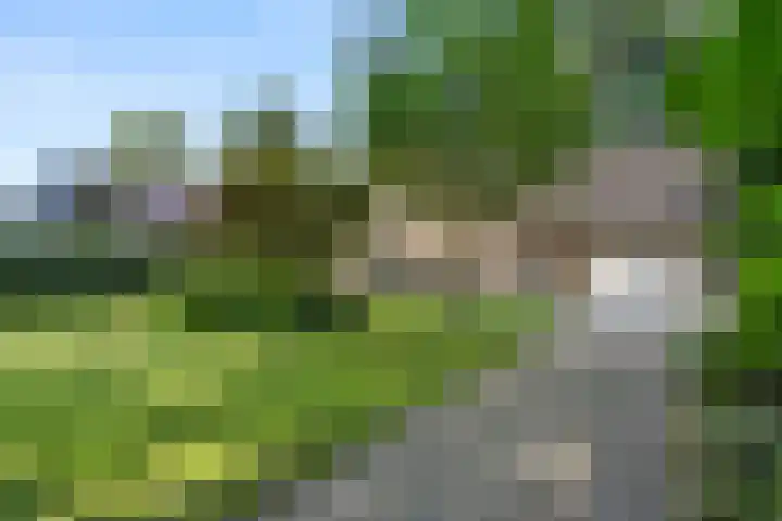 Bosmeesterskamp 3 A Bennekom thumbnail 7